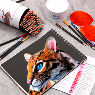 coloured pencils